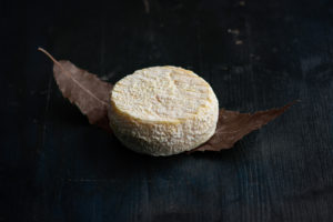 Un Mothais sur feuille