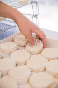 Pélardons AOP